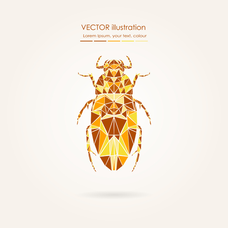 Abstract polygonal beetle. Geometric hipster illustration. Polygonal poster.のイラスト素材