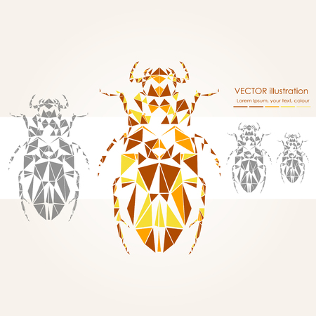 Abstract polygonal bug. Geometric hipster illustration. Polygonal poster.のイラスト素材