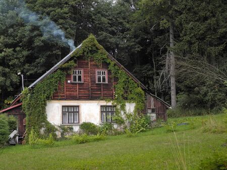 Beautiful two-storied eco cottage with chimney in the forest. Old wooden double decker house overgrown with ivy in the quiet place.の写真素材