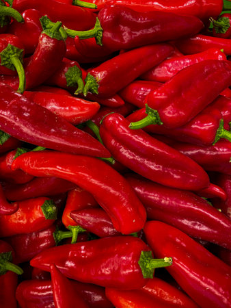 Delicious vegetables at the weekend market. Red tomato. Green juicy pepper. Red pepper. Green juicy cucumbersの写真素材