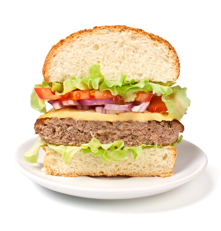 one large double cheeseburgerの写真素材