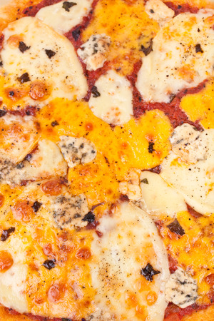 four cheese pizza textureの写真素材
