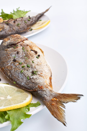 two servings of Sea Bream fish with lemon on white plateの写真素材