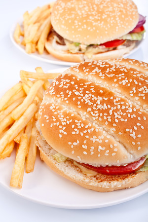 two cheeseburgers with french fries on white platesの写真素材