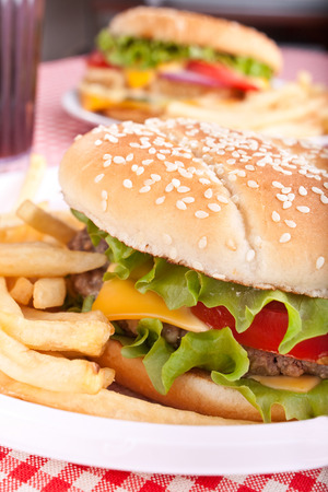 two deliciuos cheeseburgers with french friesの写真素材