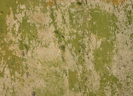 An old plaster on the wall.の写真素材