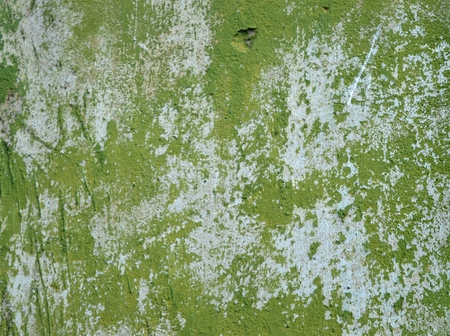 An old plaster on the wall.の写真素材