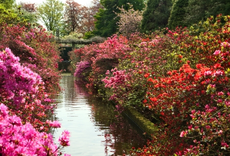 Japanese garden in park Keukenhofの写真素材