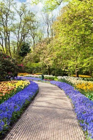 Path with spring flowers in Keukenhofの写真素材