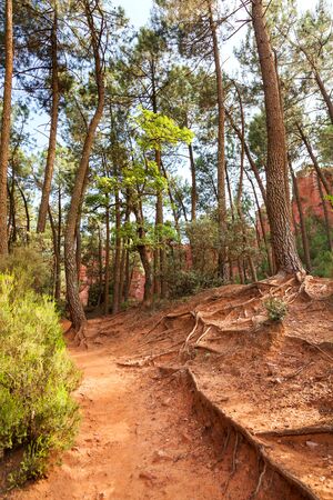 Colored ochre mountain in Rousillon at sunset. Provence, France.