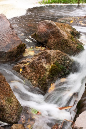 Moss-covered stones in the creekの写真素材
