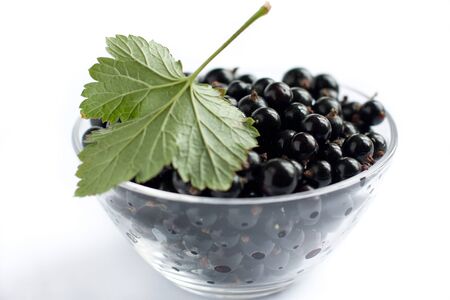 Berries ripe black currant in bowl and leafの写真素材