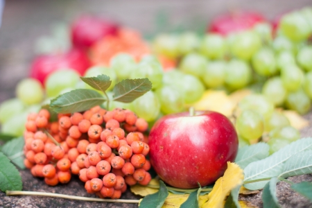Autumn harvest fruit, close upの写真素材