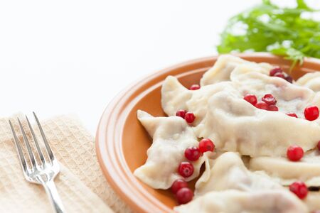 dumplings with sweet and sour berries, close upの写真素材