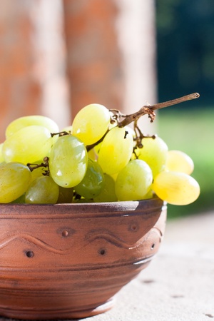 green grapes in a bowl in the sunlight, food close-upの写真素材
