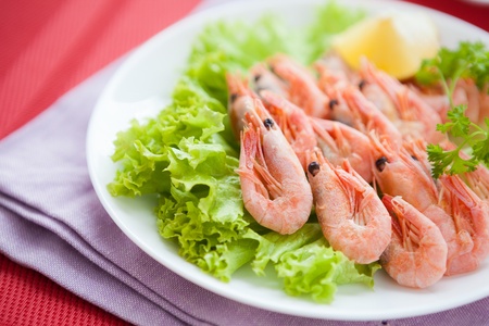 prawns on lettuce leaf on a white plate,  seafood closeupの写真素材