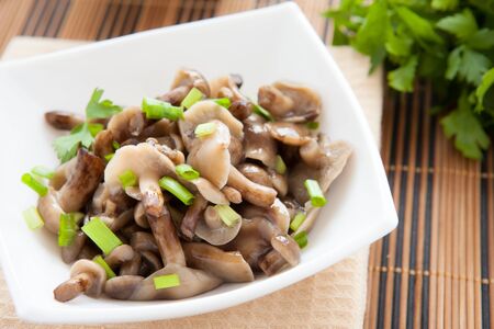 light salad of pickled mushrooms, closeupの写真素材