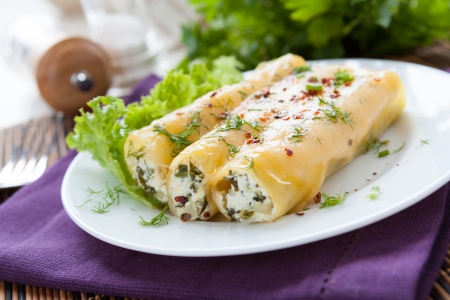 tubules cannelloni with ricotta and spinach, closeupの写真素材