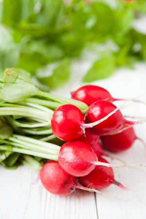 armful of fresh red radish with leaves, foodの写真素材