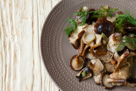 side dish of fried shiitake mushrooms, food close upの写真素材