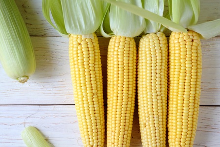 fresh raw sweet corn, food close upの写真素材