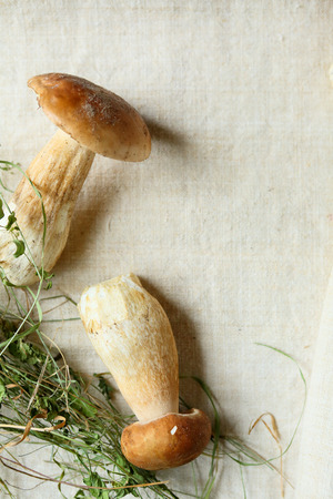 fresh mushrooms on cloth, food close upの写真素材