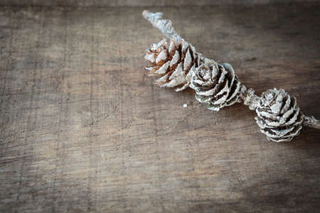 old wooden with larch cones, christmas