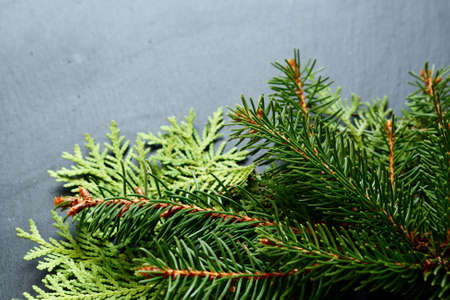 Pine branch on a board, christmas, closeupの写真素材