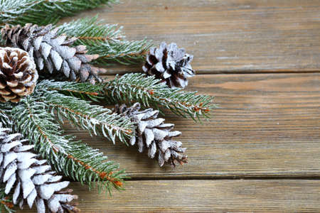 Christmas fir branch with cones, xmas background