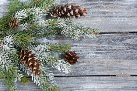 Decorative christmas pine branch with cones, Xmas background
