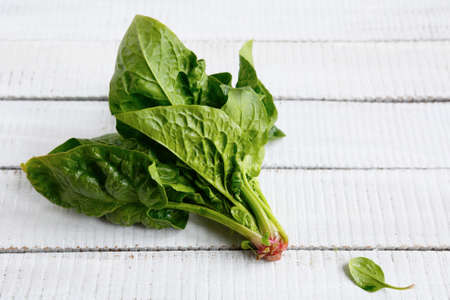 Spinach on the boards, healthy foodの写真素材