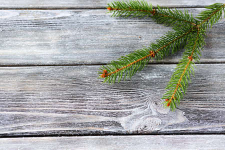 Pine branch on a wooden background, xmasの写真素材