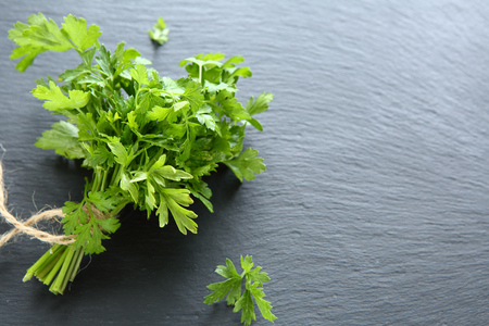 Green parsley on dark slate, backgroundの写真素材