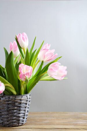 bouquet of fresh spring flowers, spring symbolの写真素材