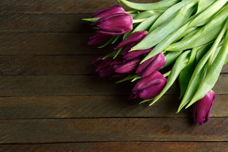 Bunch of tulips on the boards, flowersの写真素材