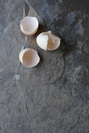 background with eggs shells top view