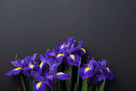 iris flowers on black background, overhead