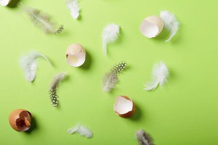easter eggs shells and feathers on green backgroundの写真素材