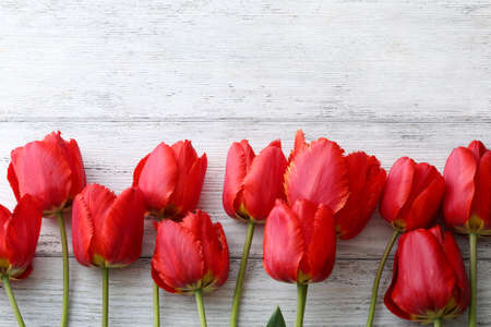 red tulips on white boards, flowersの写真素材
