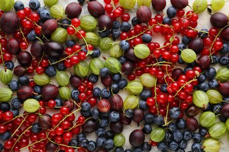 Fresh summer berries. Agriculture, harvest, diet and healthy eating concept.の写真素材