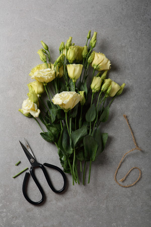 Yellow eustoma on gray background, flowers