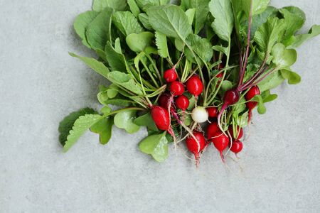 Fresh farmers radish, food top viewの写真素材