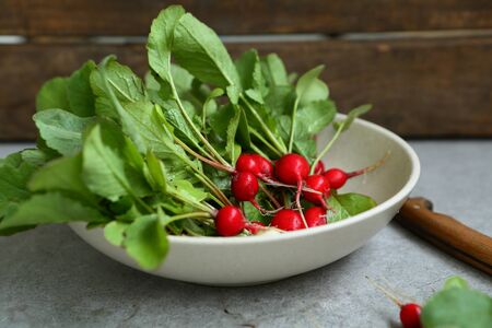 Raw radish in bowl, fresh foodの写真素材