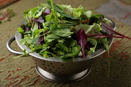 Fresh organic salad greens in colander, food closeup