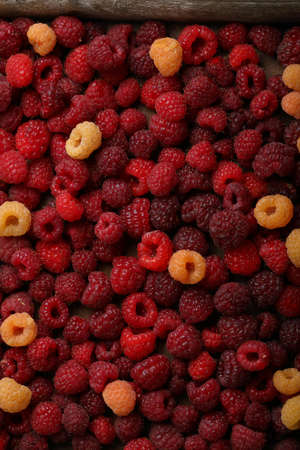 Red and yellow raspberry top view, background