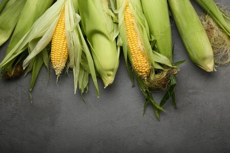 Corn cobs on gray background, food above