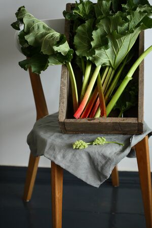 Harvest fresh rhubarb in crate, food closeupの写真素材