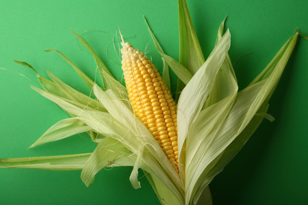 Corn cobs on green background, food above
