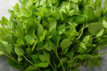 green mint background, top view