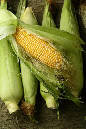 Fresh sweet Baby corn cob, food aboveの写真素材